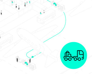 PSIairport/BRS: Baggage Reconciliation System