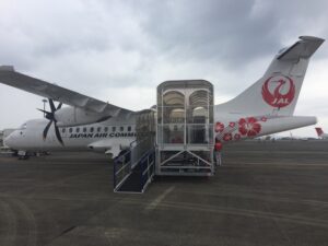 Aviramp Domestic – Narrow body aircraft / Turboprops