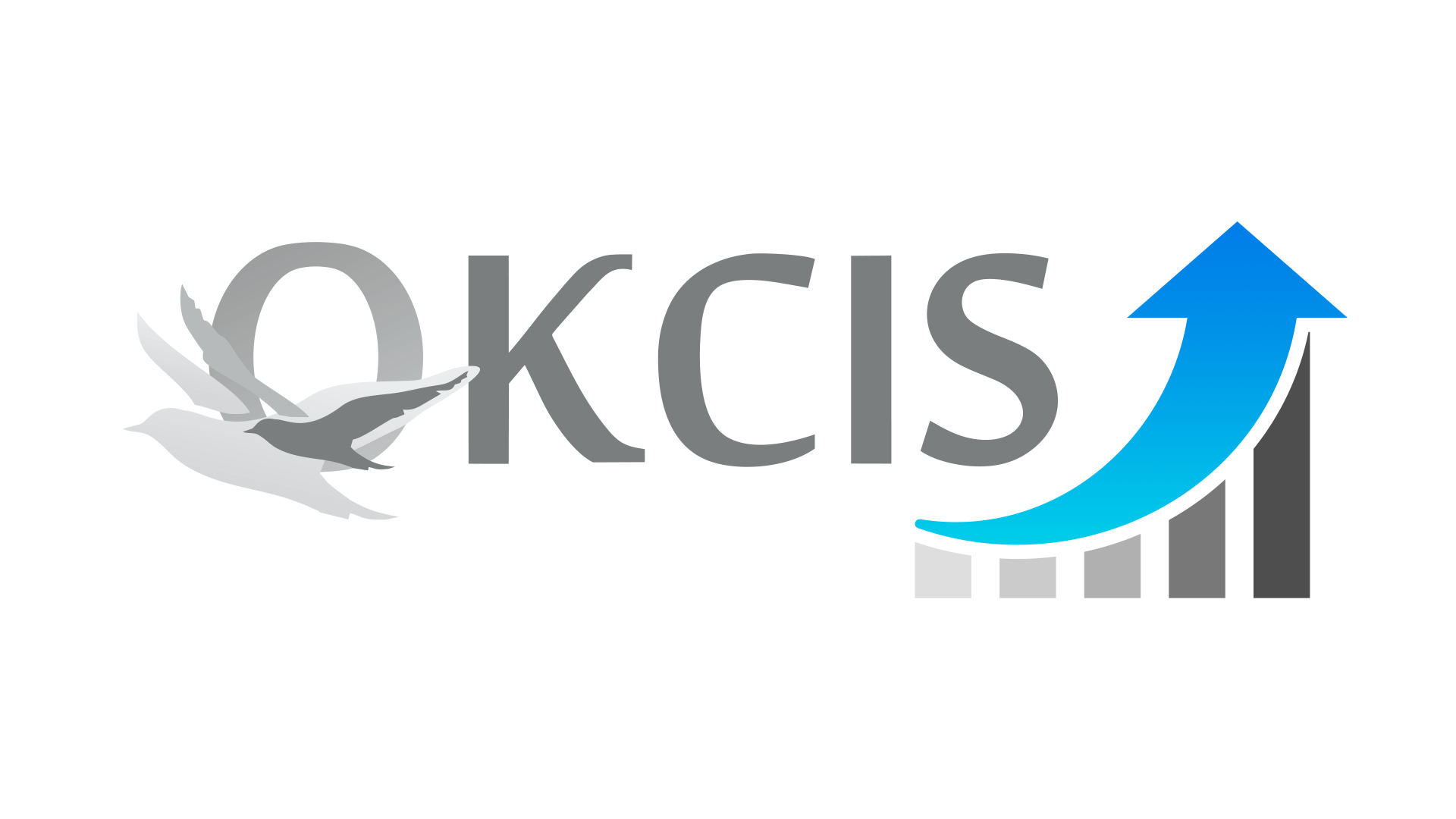 OKCIS Ltd