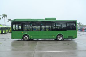 DinoTera – Electric Bus