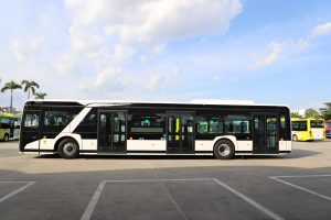 Dinobus DinoVeloci