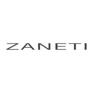 Zaneti: Defining Airports and Passenger Terminals