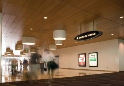 Airport Interior Design